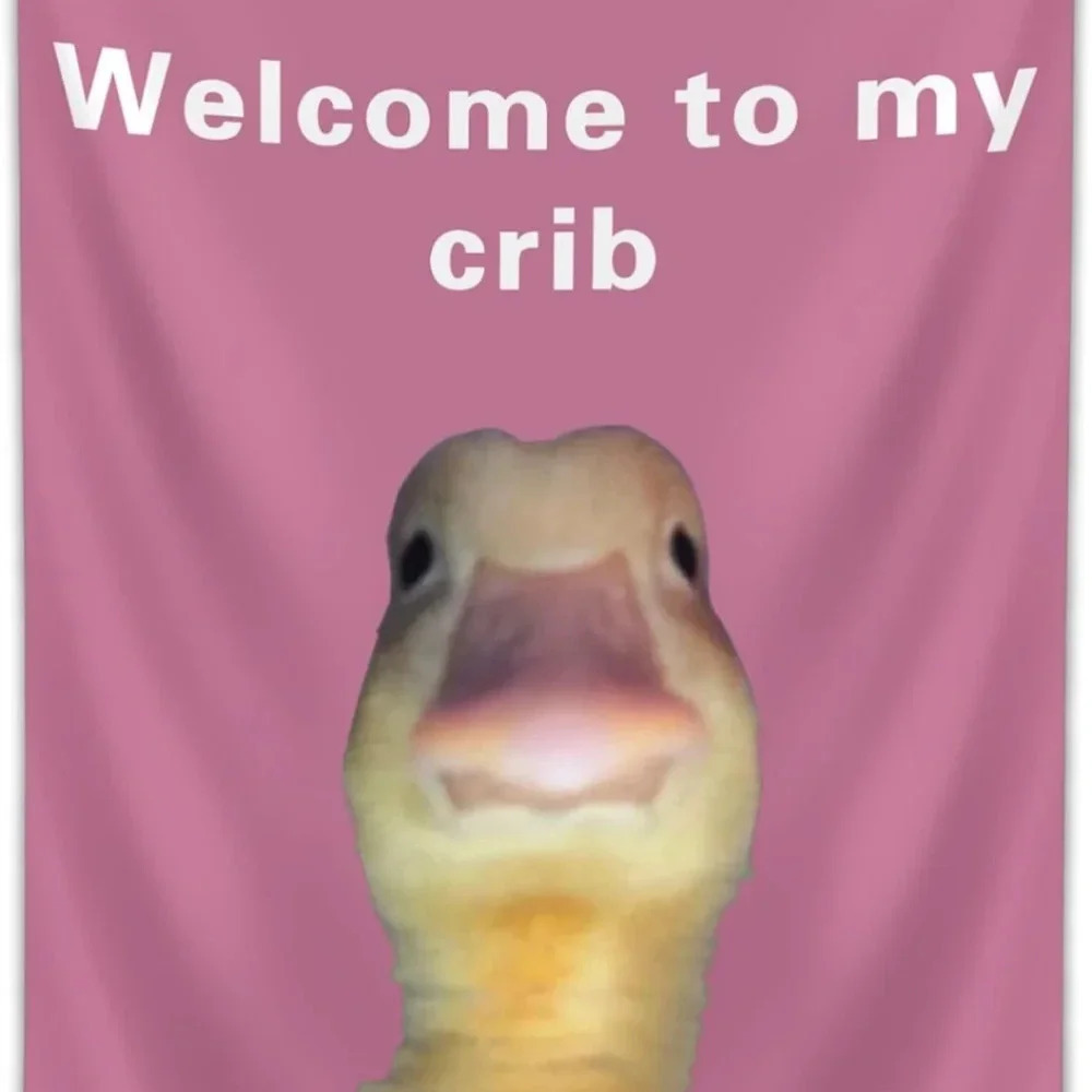 Welcome to My Crib Funny Flag 2x3Ft Wall Flag with 4 Brass Grommets for Party Ya